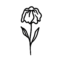 Bej Moon